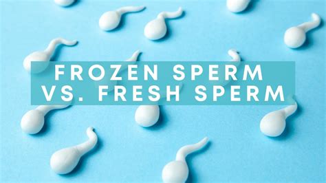 can you freeze fresh sperm.